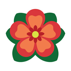 Colorful red and yellow flower vector illustration, beautiful floral design isolated on white, a vibrant spring blossom