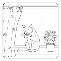 Cute line art illustration of cat sitting on windowsill and licking its paw. Coloring page for kids and adults. Black and white vector with curtain potted flower and window.