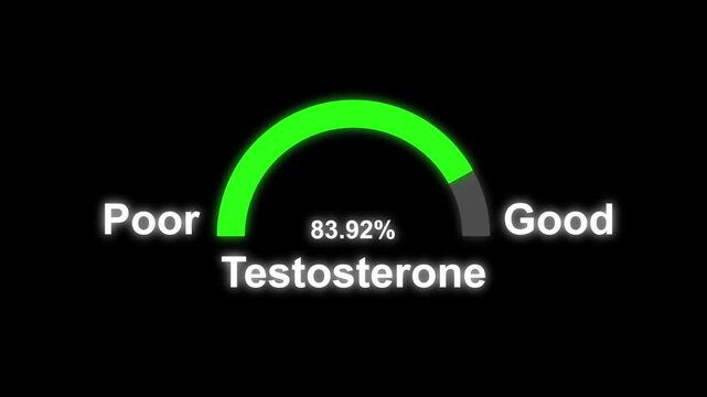 Testosterone hormone speedometer indicators animation isolated on black background