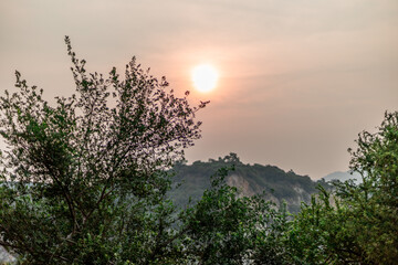 The natural background of the flora, various species of trees growing in the big forest, the richness of the ecosystem, is the habitat of flocks of birds and wild animals such as elephants, wolves