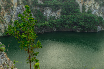 The natural background of the flora, various species of trees growing in the big forest, the richness of the ecosystem, is the habitat of flocks of birds and wild animals such as elephants, wolves