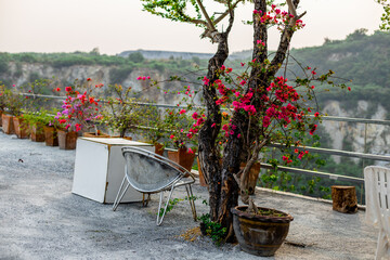 The natural background of the flora, various species of trees growing in the big forest, the richness of the ecosystem, is the habitat of flocks of birds and wild animals such as elephants, wolves