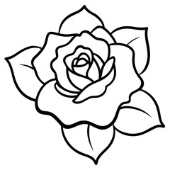 vector illustration of rose