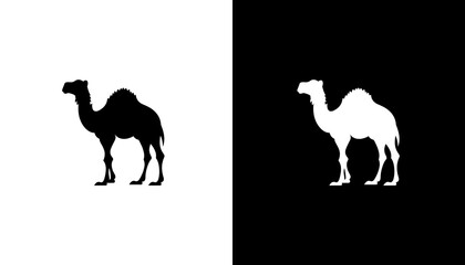camel