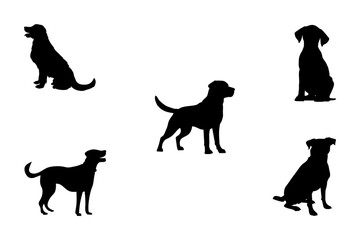illustration of dog with no background 