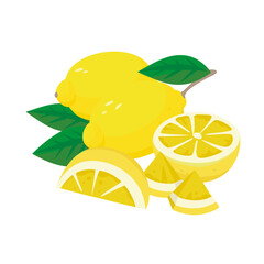 Set of images with whole and cut lemons. Some green leaves. Simple and flat style. Image with white background. It looks like a grapefruit or a lime.