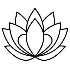 lotus flower vector