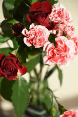 薔薇とカーネーション