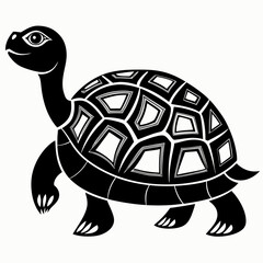 turtle vector illustration