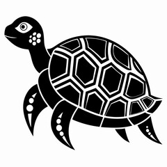 turtle vector illustration