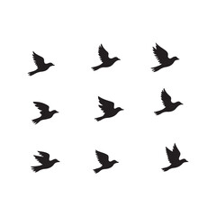 Obraz premium Silhouette Flying Birds Collection on White Background