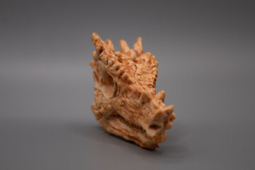 Skull on black background