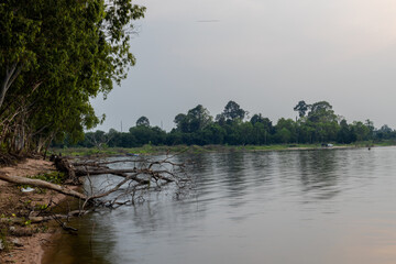 natural background of many species of plants that are laid out in the park, for the propagation of the species and to provide shade for those who stop by while traveling to study the ecology.