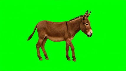 Side view of a brown donkey walking on green screen background, generative AI - Powered by Adobe