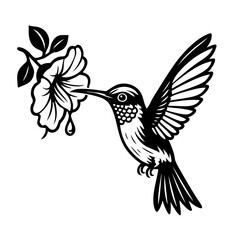 Hummingbird and Flower Vector SVG Clipart illustration