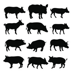 various poses of pig animal vector art silhouette