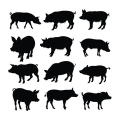 various poses of pig animal vector art silhouette