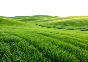 Obraz premium Green grass field landscape photography scenic hills meadows pasture summer nature wallpaper scenic view isolated on transparent background