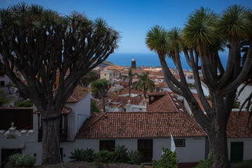 houses in the city near the ocean