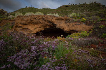 flowers and the cave