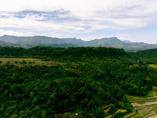 Tropical Mountain-Foot Agricultural Tapestry