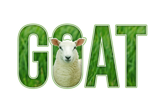 GOAT writing with an illustration of a goat's head sticking out