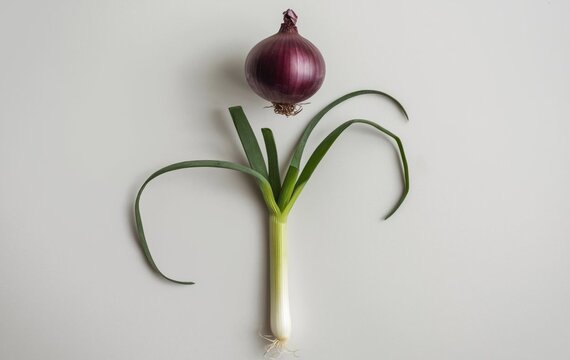 A green onion and purple onion isolated on white background - Powered by Adobe