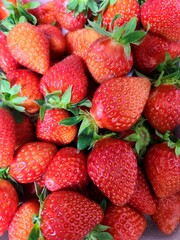 Fresh red strawberries with stems in a styrofoam box