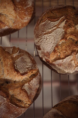 detalle de pan recién salido horno
