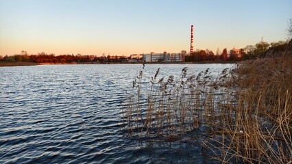 By the shore of the lake is a reed. Wave on the water. On the opposite shore - administrative...