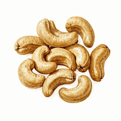 Cream & Earth: Cashew Translucence cashew isolated watercolor vector illustration svg