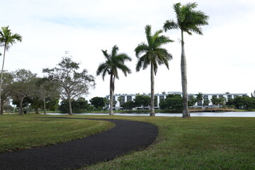 walking path in a park with a view of a lake and palm trees in the background