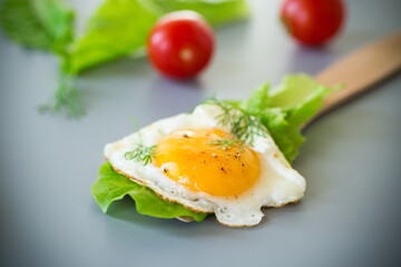 Homemade breakfast with fried egg and fresh salad leaves, on gray background