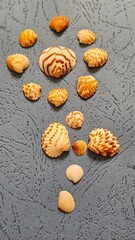 Elegant Seashell Collection – Stunning Natural Patterns, Vibrant Colores, and Ocean-Inspired Beauty Capturing the Serenity of Coastal Treasures