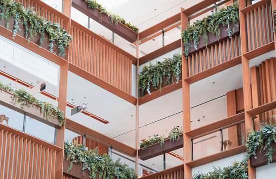 Building interior with greenery and wood