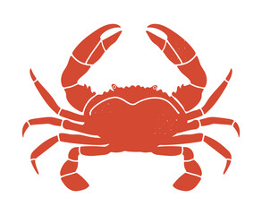 Crab isolated on white background. Crab closeup.