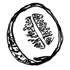 Doodle elements of fruit and vegetable, specifically a Melon