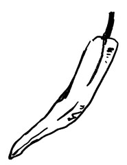 Doodle elements of fruit and vegetable, specifically a pepper