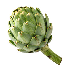 Fototapeta premium Fresh green whole single artichoke vegetable produce isolated on a transparent background