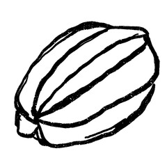 Doodle elements of fruit and vegetable, specifically a Star Fruit
