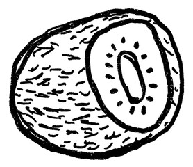 Doodle elements of fruit and vegetable, specifically a Kiwi