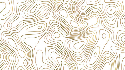 Abstract topographic contours map background. Topographic map and landscape terrain texture grid. 