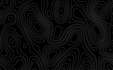 Ultra-Wide Vector Map Illustration Depicting Conditional Geography,  Design illustration for wall art, fabric, packaging, web, banner, app, wallpape