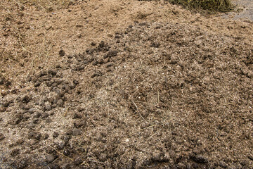A pile of horse manure on a rural farm.