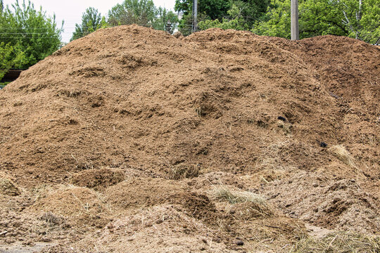 A pile of horse manure on a rural farm.