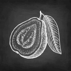 Sliced guava with leaf chalk sketch