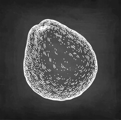 Guava chalk sketch