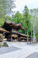 Obraz premium 初夏の諏訪大社 下社 秋宮 長野県諏訪郡 Suwa Taisha Shrine in early summer. Shimosha. Akimiya. Nagano Pref, Suwa District.