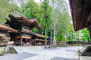 初夏の諏訪大社 下社 秋宮　長野県諏訪郡　Suwa Taisha Shrine in early summer....