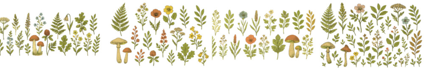 Beautiful botanical illustration of various plants and flowers arranged in a vibrant row showcasing nature's diversity